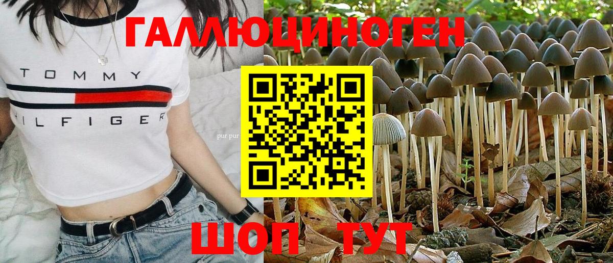 Галлюциногенные грибы Psilocybine cubensis Вологда