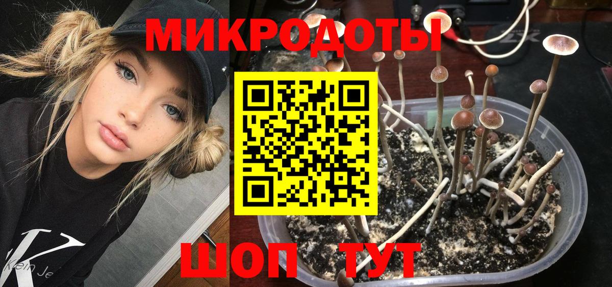 Галлюциногенные грибы GOLDEN TEACHER  закладки  Вологда  Вход с VPN 